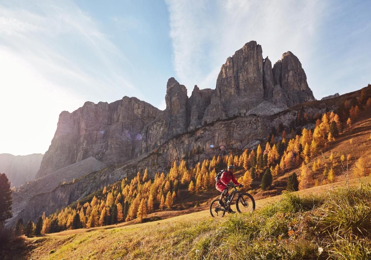 Chalet Elisabeth Dolomites Alpin & Charme Hotel Selva di Val Gardena Bagian luar foto