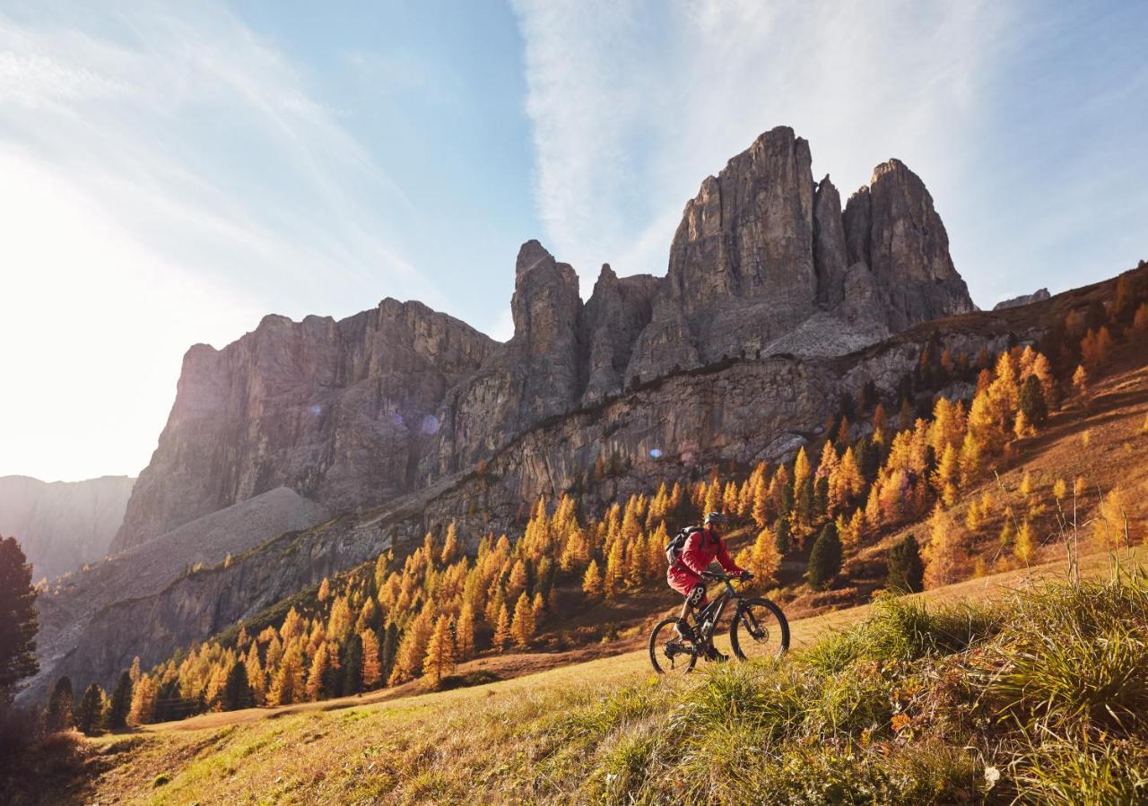 Chalet Elisabeth Dolomites Alpin & Charme Selva di Val Gardena Bagian luar foto