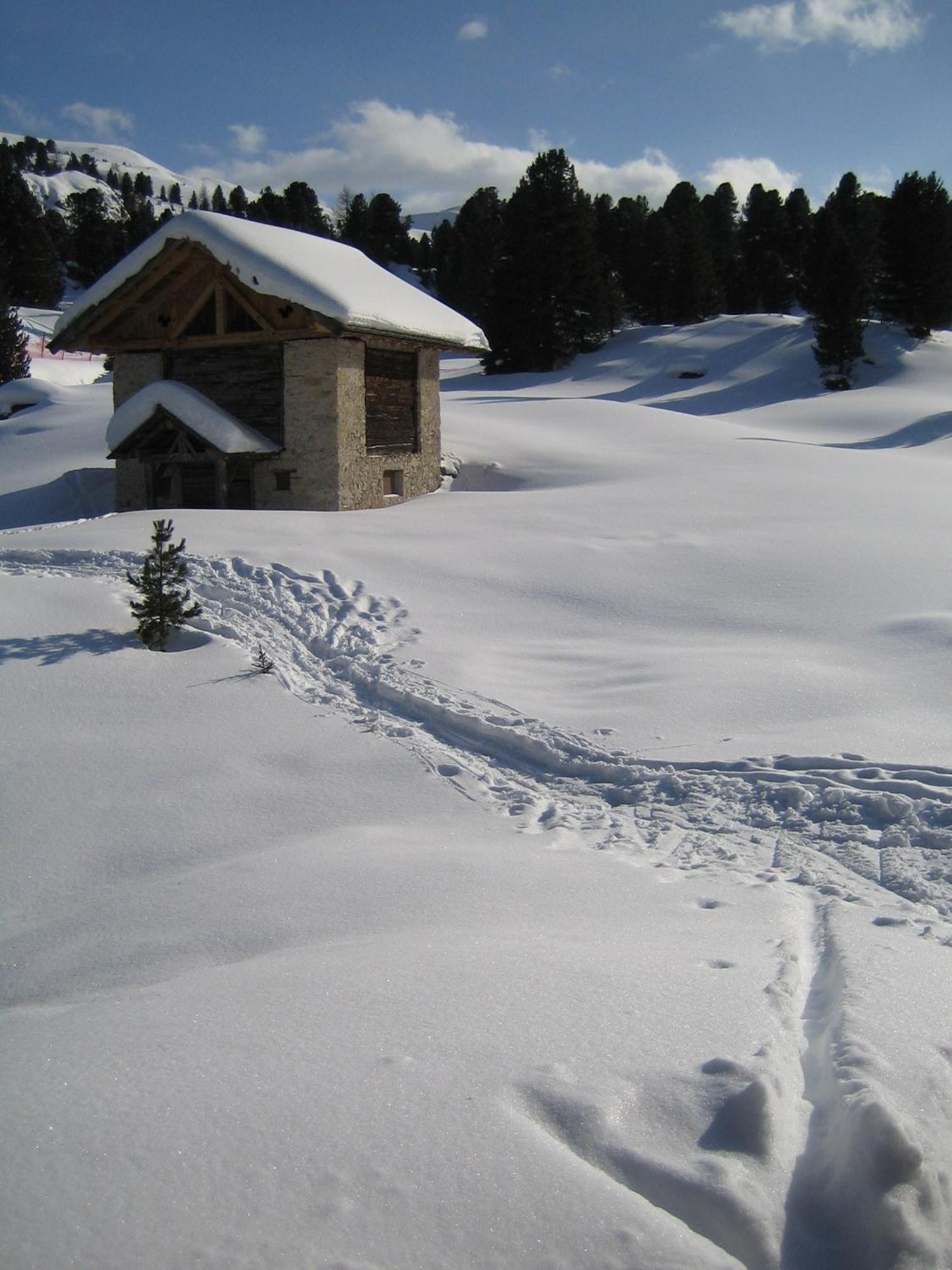 Chalet Elisabeth Dolomites Alpin & Charme Selva di Val Gardena Bagian luar foto