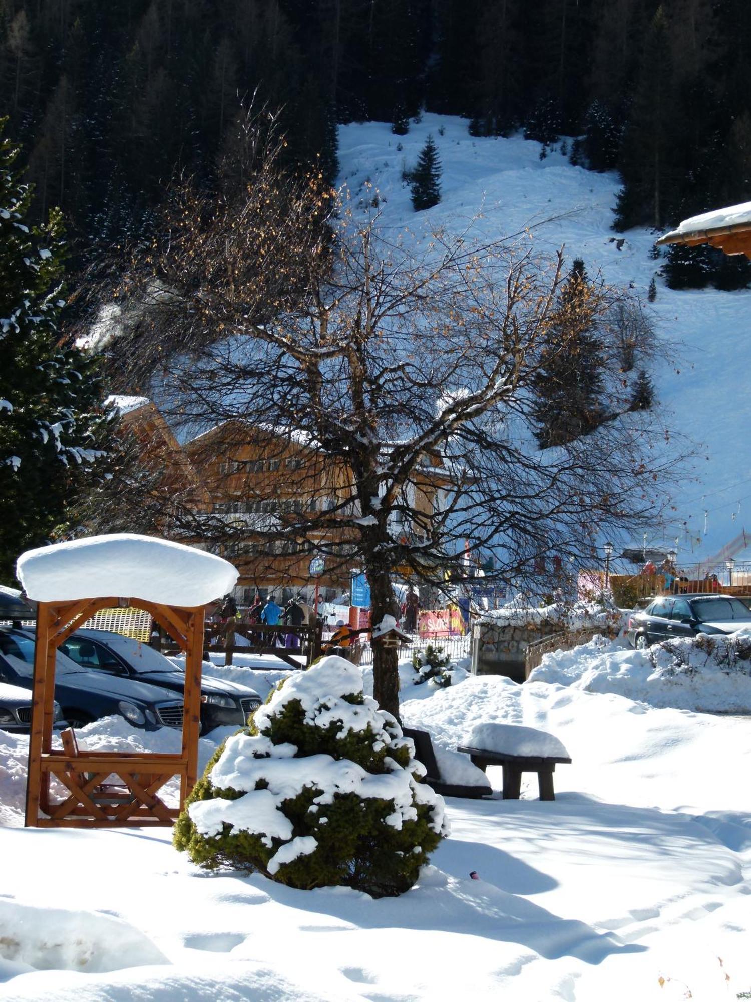 Chalet Elisabeth Dolomites Alpin & Charme Selva di Val Gardena Bagian luar foto