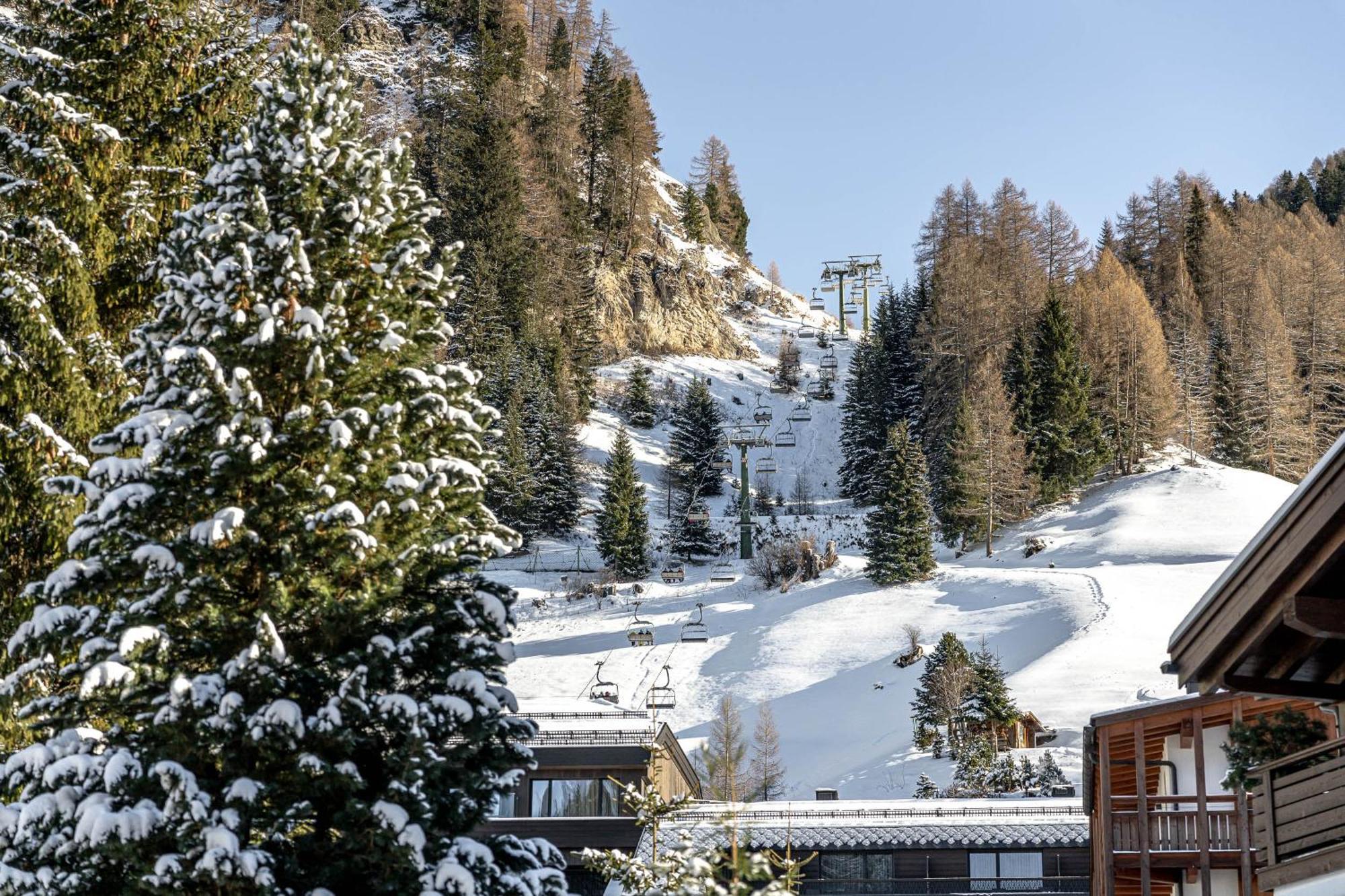 Chalet Elisabeth Dolomites Alpin & Charme Selva di Val Gardena Bagian luar foto